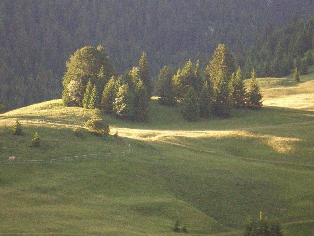 Hotel Alpenhof alt Lähn Exterior foto